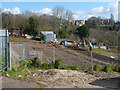 Cae Perllan Road Allotments