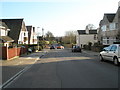 Looking down Burrill Avenue