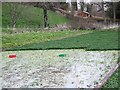 Watercress beds, Knapp, Broad Chalke