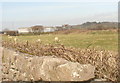 SH4559 : View across sheep pastures to Cefn-ynysoedd Farm by Eric Jones