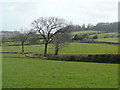 Pastures at Western Goulds