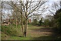 Chaceley Village Green