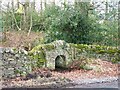 Roadside spring near Slaley Townhead