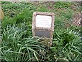 Poignant memorial to a WWII pilot