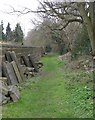 Footpath - Water Lane, Rawdon Road