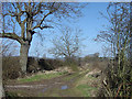 Bridleway near Welldale Farm