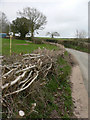 Layered hedge