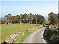 Approaching the turning for the old Telegraph Cottage