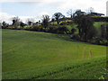 Fields near Ballylesson