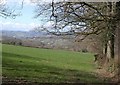 Field near Thorns Cross