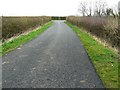 The road from Abberton