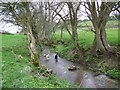 River Ebble, Alvediston