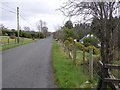 Road at Tonnagh