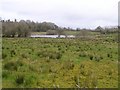 Tonnagh Lough, Carrick