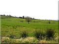 Derryvary More Townland