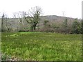 Drumbeggan Townland