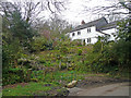 Cottage and wild garden