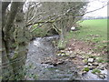 SO5781 : Bockleton Brook by Row17