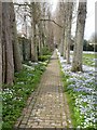 The Poplar Walk, The Salutation Garden