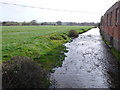 Dorchester Water Meadows