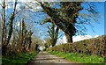 The Ballyclander Road near Downpatrick (1)