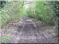 Track to Bush Farm and Church Lane