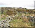 The continuation of the green lane above Caeau Uchaf