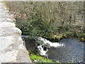 Rapids below Pont Rhydfadog