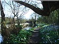 Footpath in Pleasley Vale