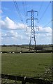 Electricity Pylons