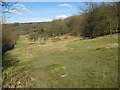 Chinnor: Oakley Hill nature reserve