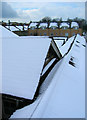 Roofscape, Cambridge Mews