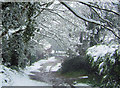 Silver Lane snow, Bishopstone, East Sussex