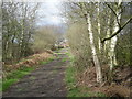 Bridleway to Muckleton Moss