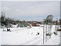 Snowbound allotments in Ranelagh Road