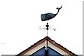 Whale of  a Weather Vane