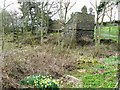 Doocot and daffodils