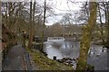 SJ0118 : Weir on River Vyrnwy by John Firth