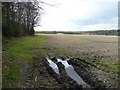 Footpath south from Appspond Lane