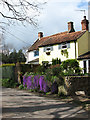 Looking west past Rose Cottage