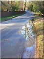 Road between Greenfield and Christmas Common