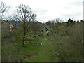 Allotments on a Disused Railway