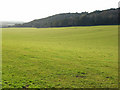 Pasture, Watlington