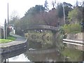 Footbridge over Montgomery Canal