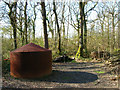 Charcoal Burner, Tottington Wood