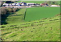 Tottington Manor Farm