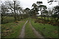 North end of path to Snape Rake Lane