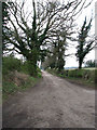 Access road to Beck Farm