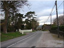 W7066 : The Road at Castletreasure House by Ian Paterson