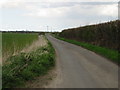 Looking NE along Bogshole Lane